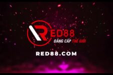 RED88 – Nhà cái cá cược nói không với lừa đảo – Xác thực độ uy tín  – Update 1/2024