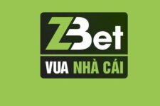 ZBET – Đánh giá chân thật nhất về nhà cái ZBET –  Giao dịch siêu nhanh – Update 12/2022